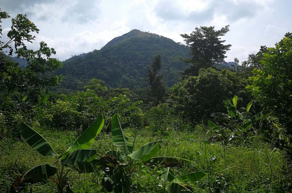 Mount Afadja (Afadjato), Volta Region, Ghana